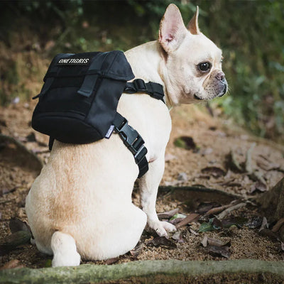 Small Dog Compact Canine Gear Bag