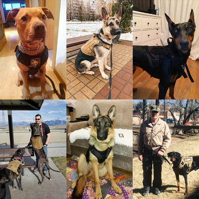 High-Quality Tactical Dog Harness Leash