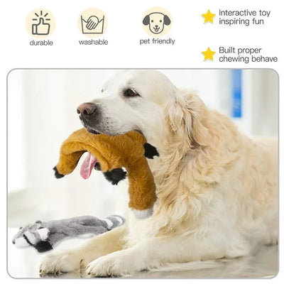 Durable Interactive Padded Squeaky Toy