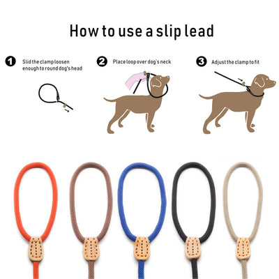 Pet Walking P Chain Dog Leash