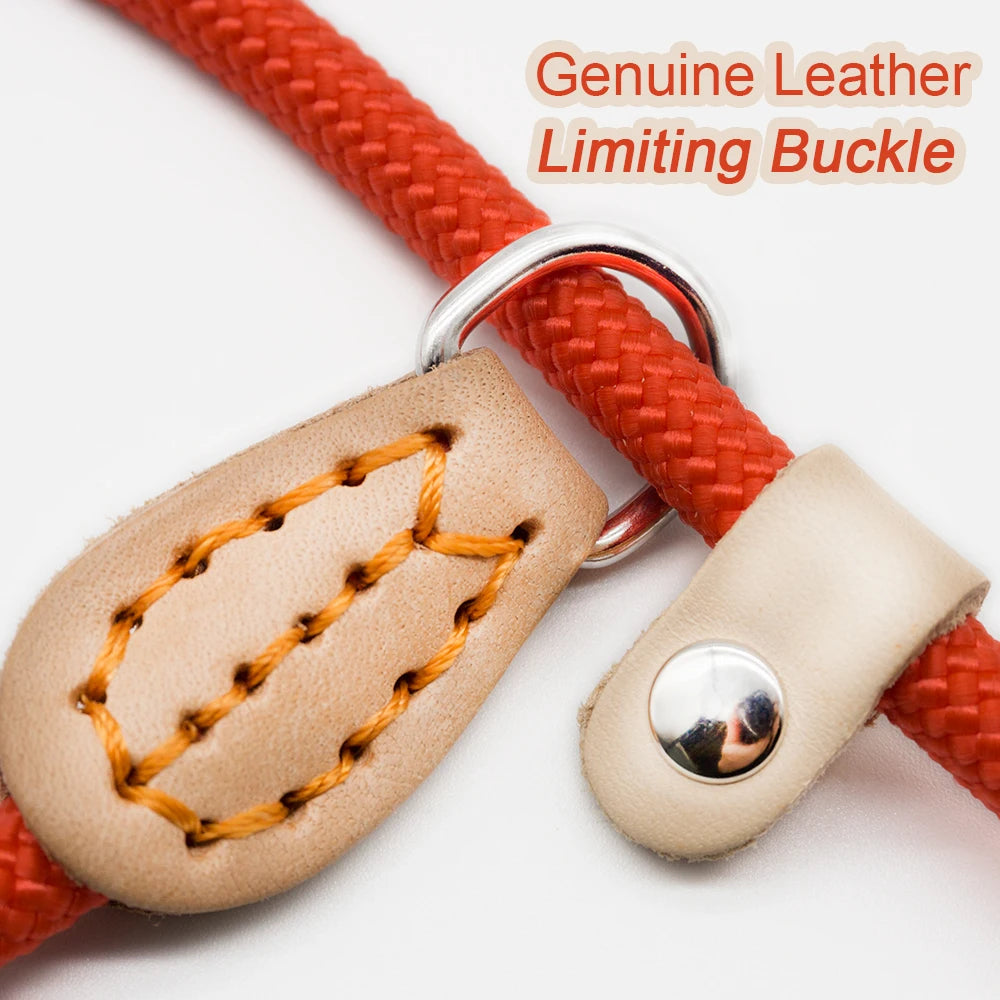 Pet Walking P Chain Dog Leash