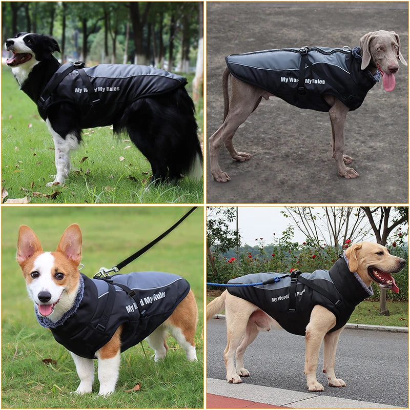 Fur Collar Large Dog Jacket