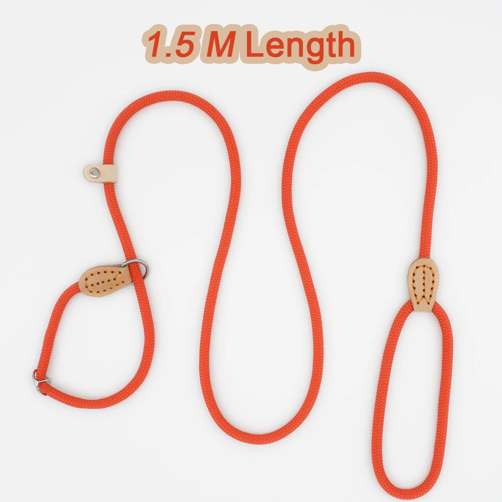 Pet Walking P Chain Dog Leash