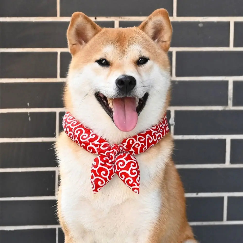 Durable Pet-friendly Ice Towel Bandana