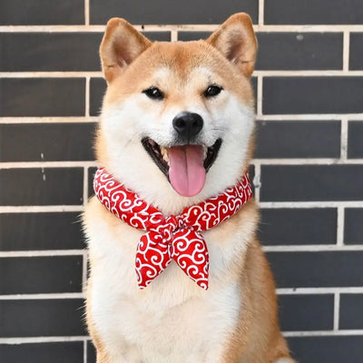 Durable Pet-friendly Ice Towel Bandana