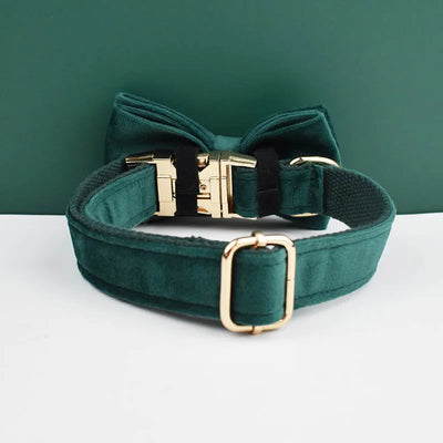 Green Velvet Dog Collar and Leash Set