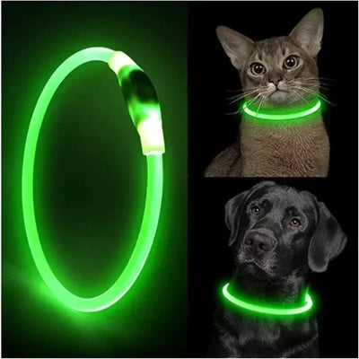 USB LED Light Glowing Dog Collar