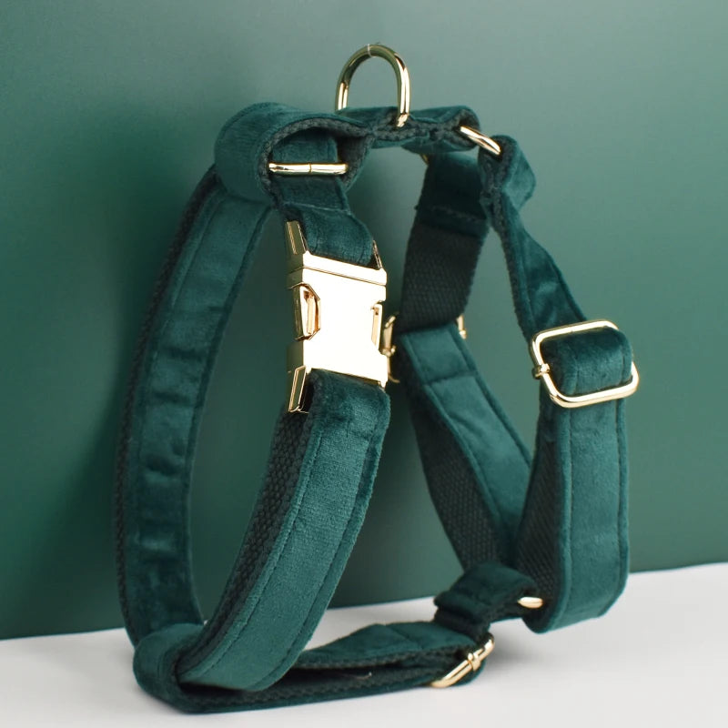 Green Velvet Dog Collar and Leash Set