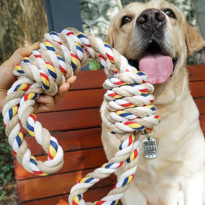 Bite Resistant Puppy Toys Ball