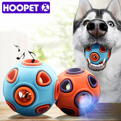 Funny Interactive Dog Chew Toy Ball