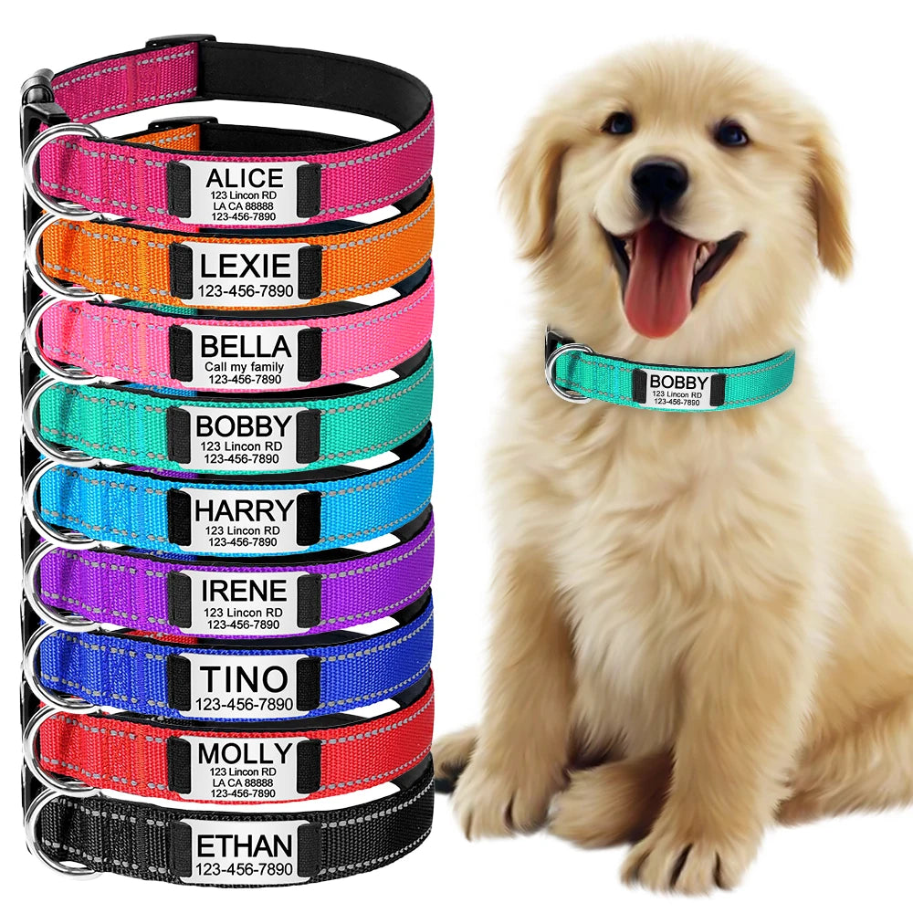 Embroidered Adjustable Nylon Dog Collars