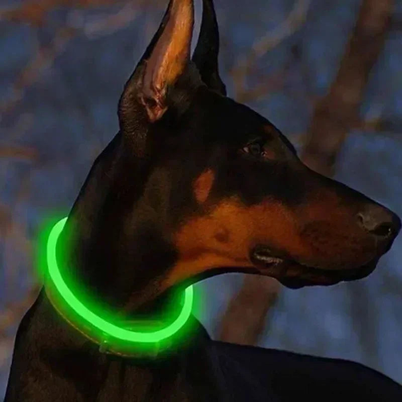 USB LED Light Glowing Dog Collar