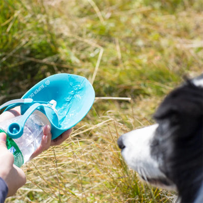 580ml Portable Pet Dog Water Bottle