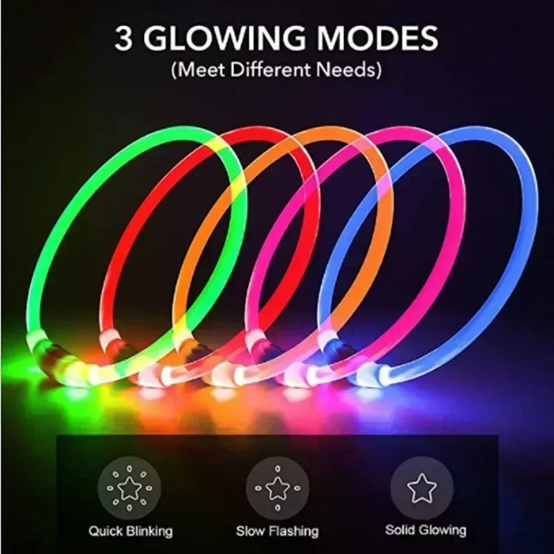 USB LED Light Glowing Dog Collar