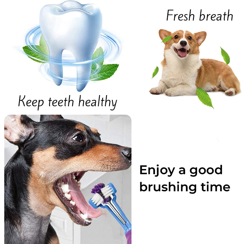 Three Sided Pet Toothbrush