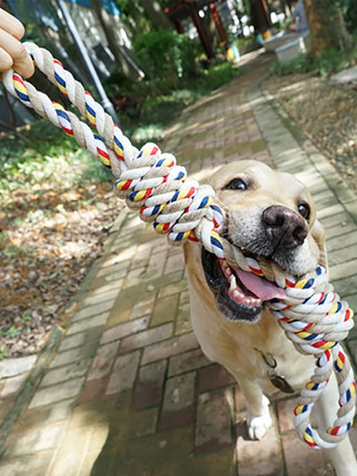 Bite Resistant Puppy Toys Ball