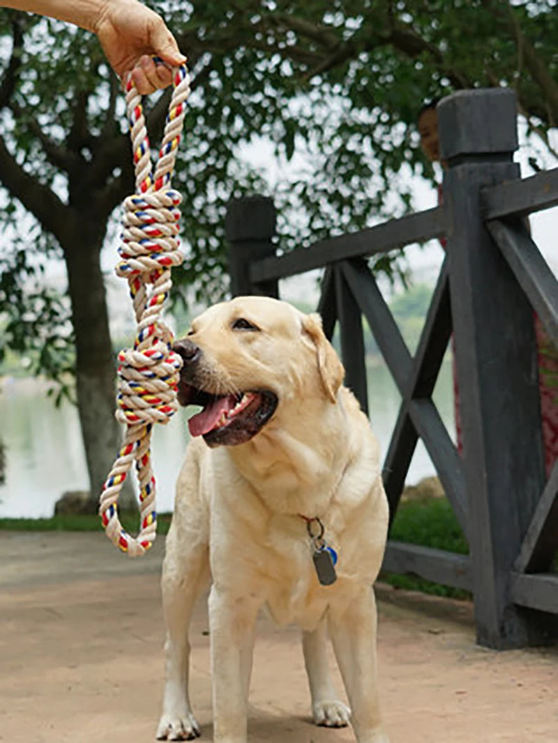 Bite Resistant Puppy Toys Ball