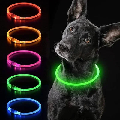 USB LED Light Glowing Dog Collar