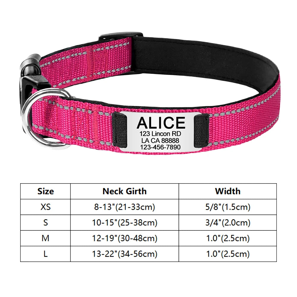 Embroidered Adjustable Nylon Dog Collars