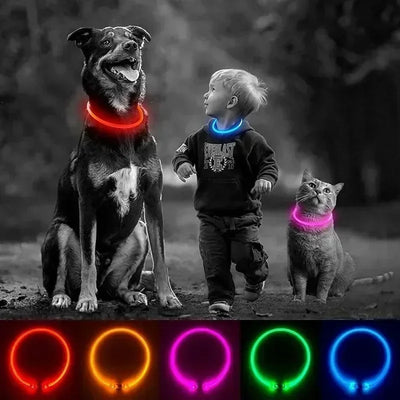 USB LED Light Glowing Dog Collar