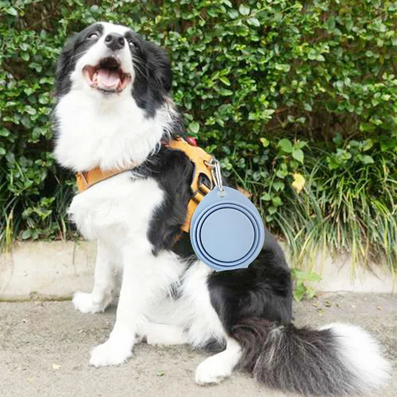 350ml Portable Folding Dog Water Bowl