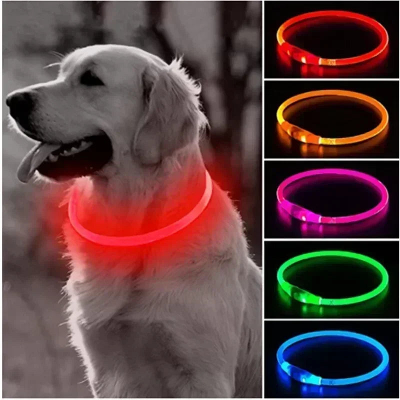 USB LED Light Glowing Dog Collar