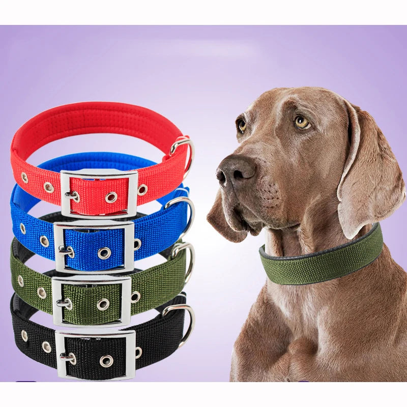 Nylon Dog Collar For Small Medium Large Dogs